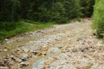 2014-07-05_Laengental-N-Hochweg (207). JPG